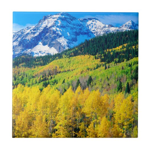 Herfst in de Rockies Tegeltje (Voorkant)