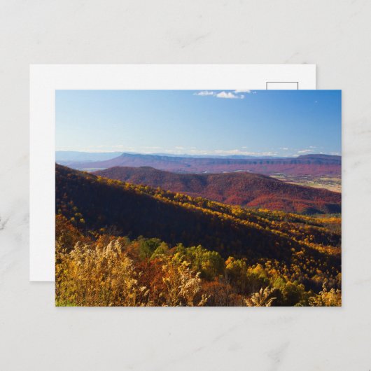 Herfst in de Shenandoah Valley, Virginia Briefkaart (Voorkant / Achterkant)