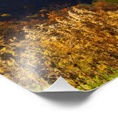 Herfst in de Shenandoah Valley, Virginia Foto Afdruk (Hoek)