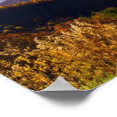 Herfst in de Shenandoah Valley, Virginia Poster (Hoek)