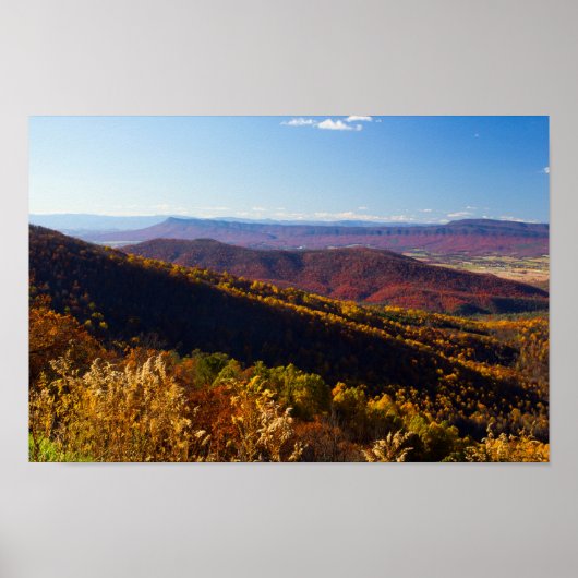 Herfst in de Shenandoah Valley, Virginia Poster (Voorkant)