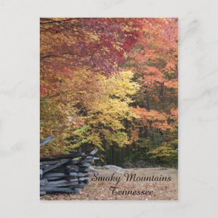Herfst in de Smoky Mountains Briefkaart