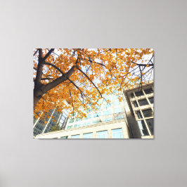 Herfst in de Stad Canvas Afdruk
