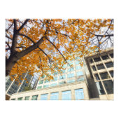 Herfst in de stad foto afdruk (Voorkant)