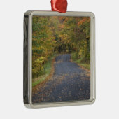 Herfst in de weg, Zuid-Vermont, Verenigde Staten Metalen Ornament (Rechts)