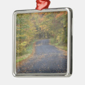Herfst in de weg, Zuid-Vermont, Verenigde Staten Metalen Ornament (Links)
