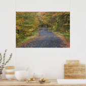 Herfst in de weg, Zuid-Vermont, Verenigde Staten Poster (Keuken)
