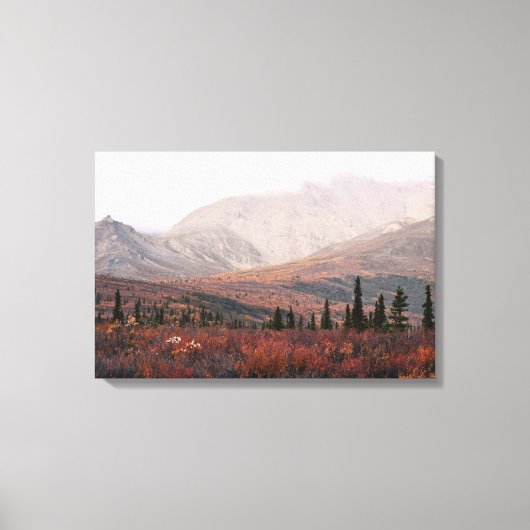 Herfst in Denali Canvas Afdruk (Voorkant)