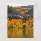 Herfst in Dolores Briefkaart (Voorkant)