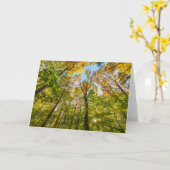 Herfst in een bos in Amesbury, Massachusetts Kaart (Gele Bloem)