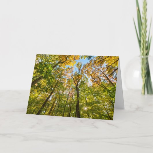 Herfst in een bos in Amesbury, Massachusetts Kaart (Voorkant)