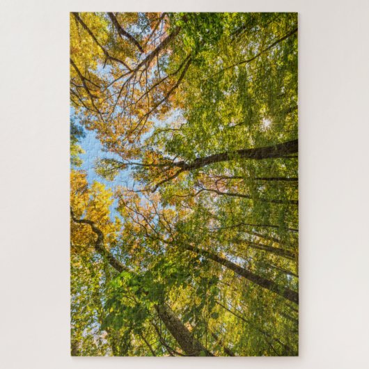 Herfst in een bos in Amesbury, Massachusetts Legpuzzel (Verticaal)