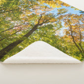 Herfst in een bos in Amesbury, Massachusetts Sherpa Deken (3/4)