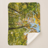 Herfst in een bos in Amesbury, Massachusetts Sherpa Deken (Voorkant)