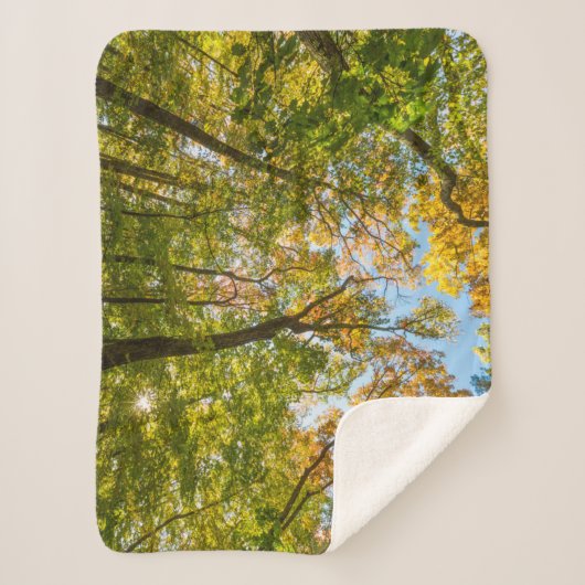 Herfst in een bos in Amesbury, Massachusetts Sherpa Deken (Voorkant)