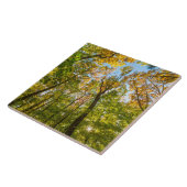 Herfst in een bos in Amesbury, Massachusetts Tegeltje (Zijkant)