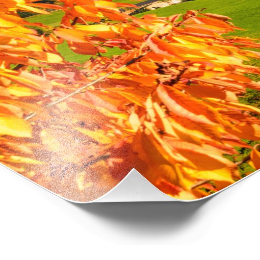 Herfst in een Dolomietenlandschap met een kerk Foto Afdruk (Hoek)