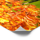 Herfst in een Dolomietenlandschap met een kerk Poster (Hoek)