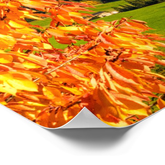 Herfst in een Dolomietenlandschap met een kerk Poster (Hoek)