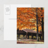 herfst in een park briefkaart (Voorkant / Achterkant)