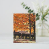 herfst in een park briefkaart (Staand voorkant)
