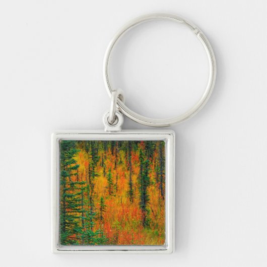 Herfst in een wei sleutelhanger (Voorkant)