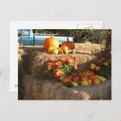 Herfst in Ellington, CT. Briefkaart (Voorkant / Achterkant)