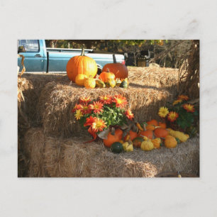 Herfst in Ellington, CT. Briefkaart