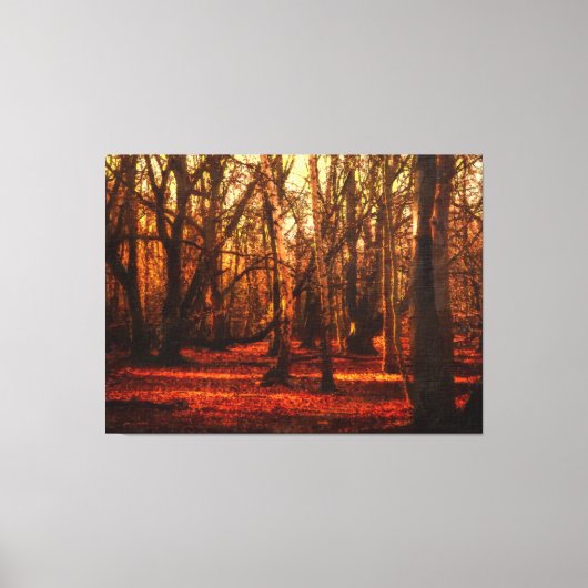 Herfst in Epping Forrest Canvas Afdruk (Voorkant)