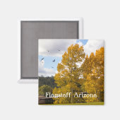 Herfst in Flagstaff Arizona Magnet (Voorkant / Achterkant)