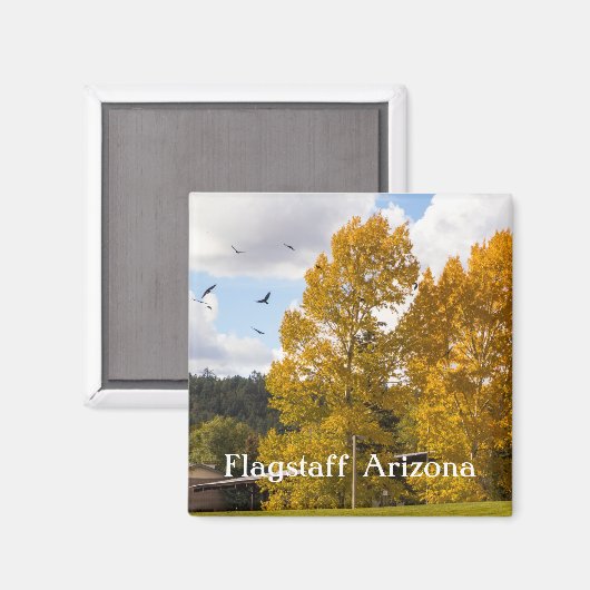 Herfst in Flagstaff Arizona Magnet (Voorkant / Achterkant)