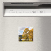 Herfst in Flagstaff Arizona Magnet (Insitu (Vaatwasser))