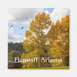 Herfst in Flagstaff Arizona Magnet