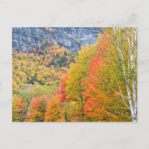 Herfst in Grafton Notch State Park, Maine Briefkaart