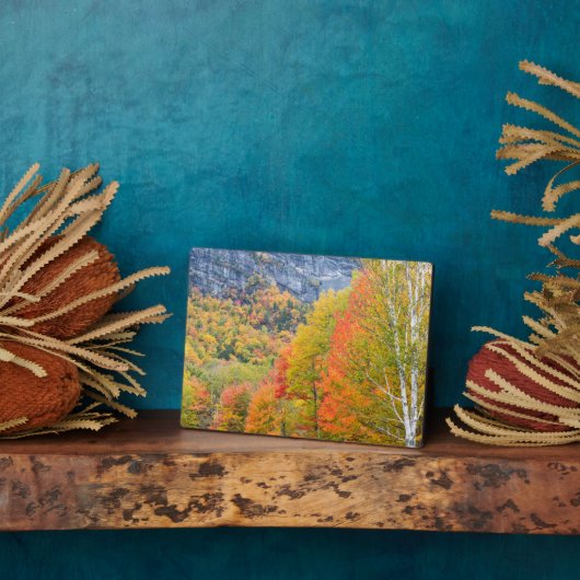 Herfst in Grafton Notch State Park, Maine Fotoplaat (Zijkant)