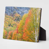 Herfst in Grafton Notch State Park, Maine Fotoplaat (Zijkant)