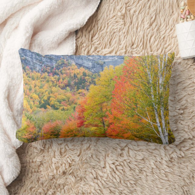 Herfst in Grafton Notch State Park, Maine Kussen (Deken)
