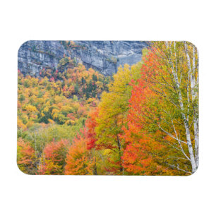 Herfst in Grafton Notch State Park, Maine Magneet