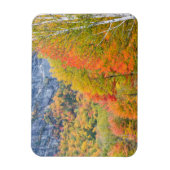 Herfst in Grafton Notch State Park, Maine Magneet (Verticaal)
