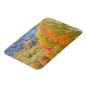 Herfst in Grafton Notch State Park, Maine Magneet (Linkerzijde)