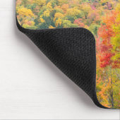 Herfst in Grafton Notch State Park, Maine Muismat (Hoek)