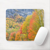 Herfst in Grafton Notch State Park, Maine Muismat (Met muis)