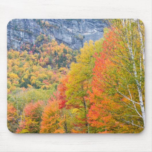 Herfst in Grafton Notch State Park, Maine Muismat (Voorkant)