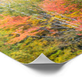 Herfst in Grafton Notch State Park, Maine Poster (Hoek)