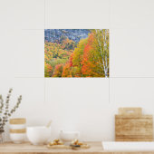Herfst in Grafton Notch State Park, Maine Poster (Keuken)