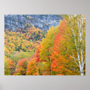 Herfst in Grafton Notch State Park, Maine Poster