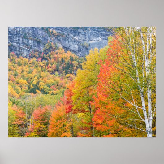 Herfst in Grafton Notch State Park, Maine Poster (Voorkant)