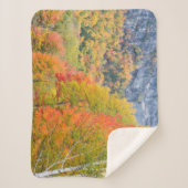Herfst in Grafton Notch State Park, Maine Sherpa Deken (Voorkant)