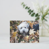 Herfst in herfst briefkaart (Staand voorkant)