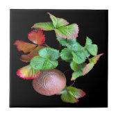 Herfst in het aardbeienseizoen achtertuin foto tegeltje (Voorkant)